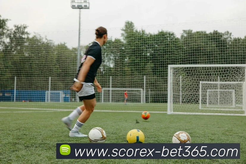 bet365平台生态图